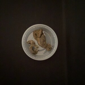 Real Unknown NM Poop