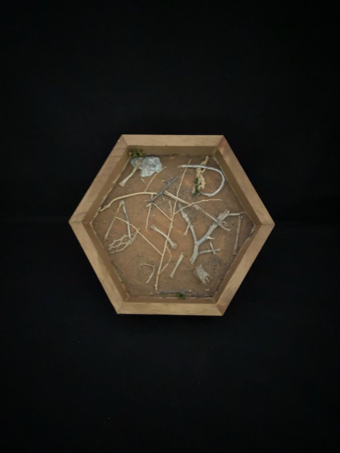 Real Rat Bone Shadow Box - Etsy