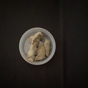 Real NM Animal Poop