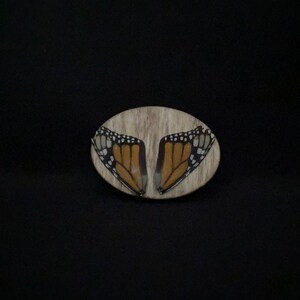 Real Butterfly Wings on Plaque