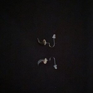 Real Coyote Claw Earrings