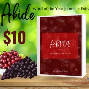 Può includere: Un diario rosso con la parola "Abide" sulla copertina. Il diario è intitolato "Word of the Year Journal + Extras" e costa 10 €. Il diario è circondato da uva.