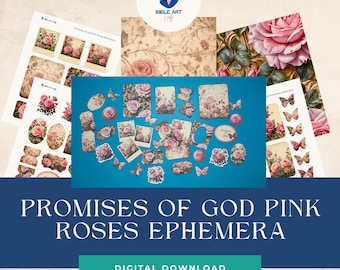 Promises of God: roze rozen, kortstondig