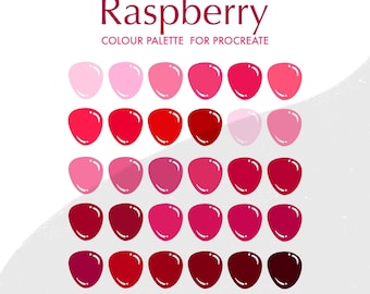 Raspberry Colour Palette for Procreate | Pinks, Reds, Burgundy | 30 colours/swatches