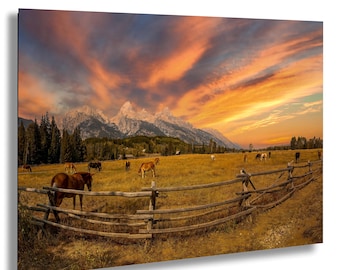 Grand Teton Horses Sunset Print – Wyoming Mountain Landscape Wall Art Photography