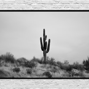 Arizona Midwestern Cactus Foto - Zwart-wit digitaal downloadbare kunst aan de muur