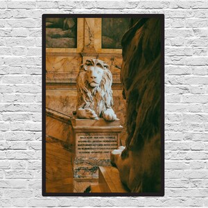 Boston Public Library Lion Photography - Digital Download Print