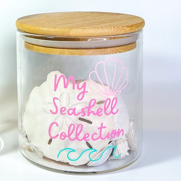 Seashell Collection Etsy