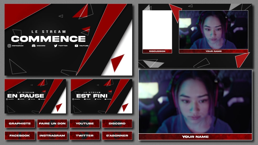 Stream Pack / Animated Stream Package / Overlays / Twitch Assets ...