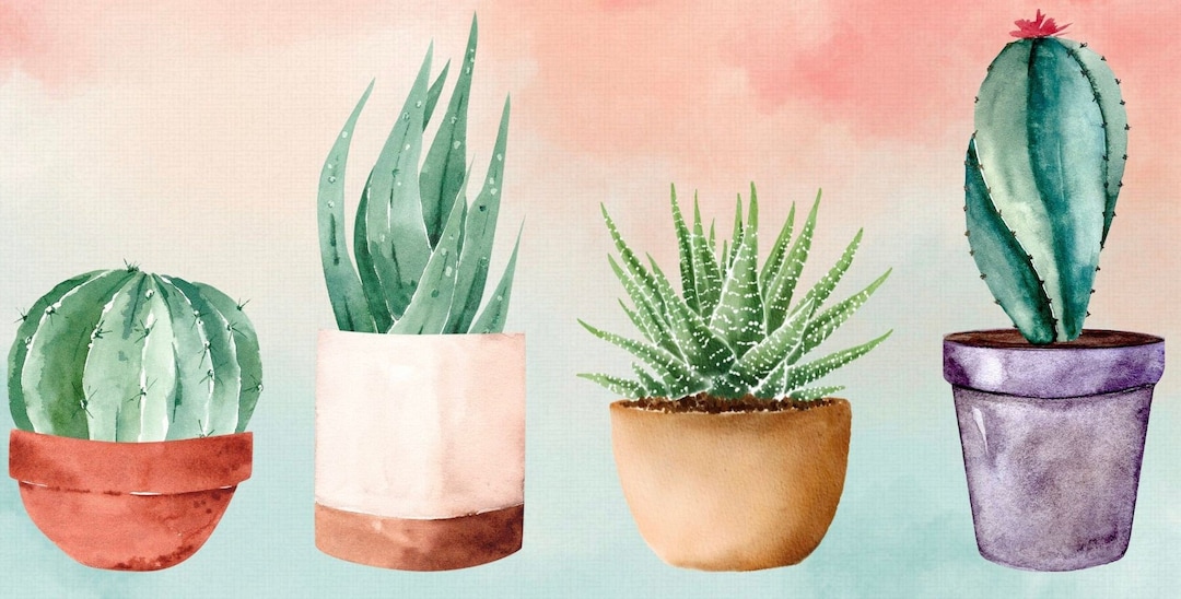 Succulent Desktop Wallpaper - Etsy