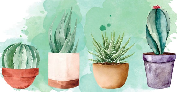 Succulent Green Desktop Wallpaper - Etsy Succulent Green Desktop Wallpaper - Etsy