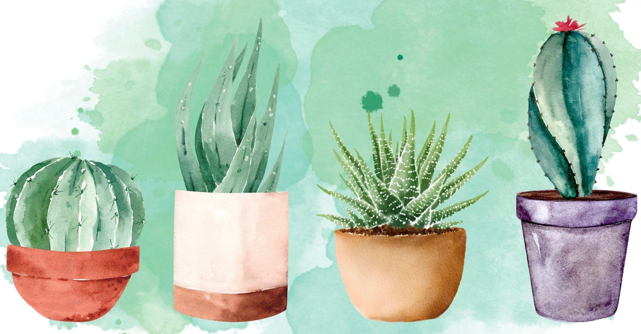 Succulent Green Desktop Wallpaper - Etsy