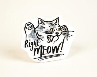 Parche bordado de gato "Right Meow" – Aplicación termoadhesiva felina y original