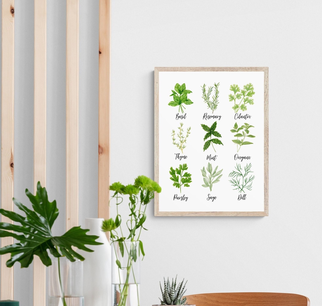 Kitchen Herbs Art Print - Etsy