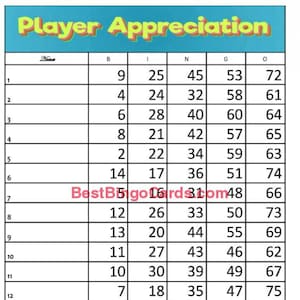 Bingo Boards 1-15 Lines - Player Appreciation - Straight, Mixed, 75 Ball