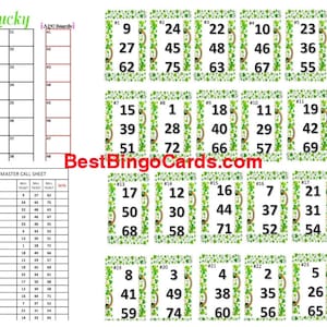 Tableaux de bingo pour 1 à 25 joueurs – Feeling Lucky – Mixte, 75 boules