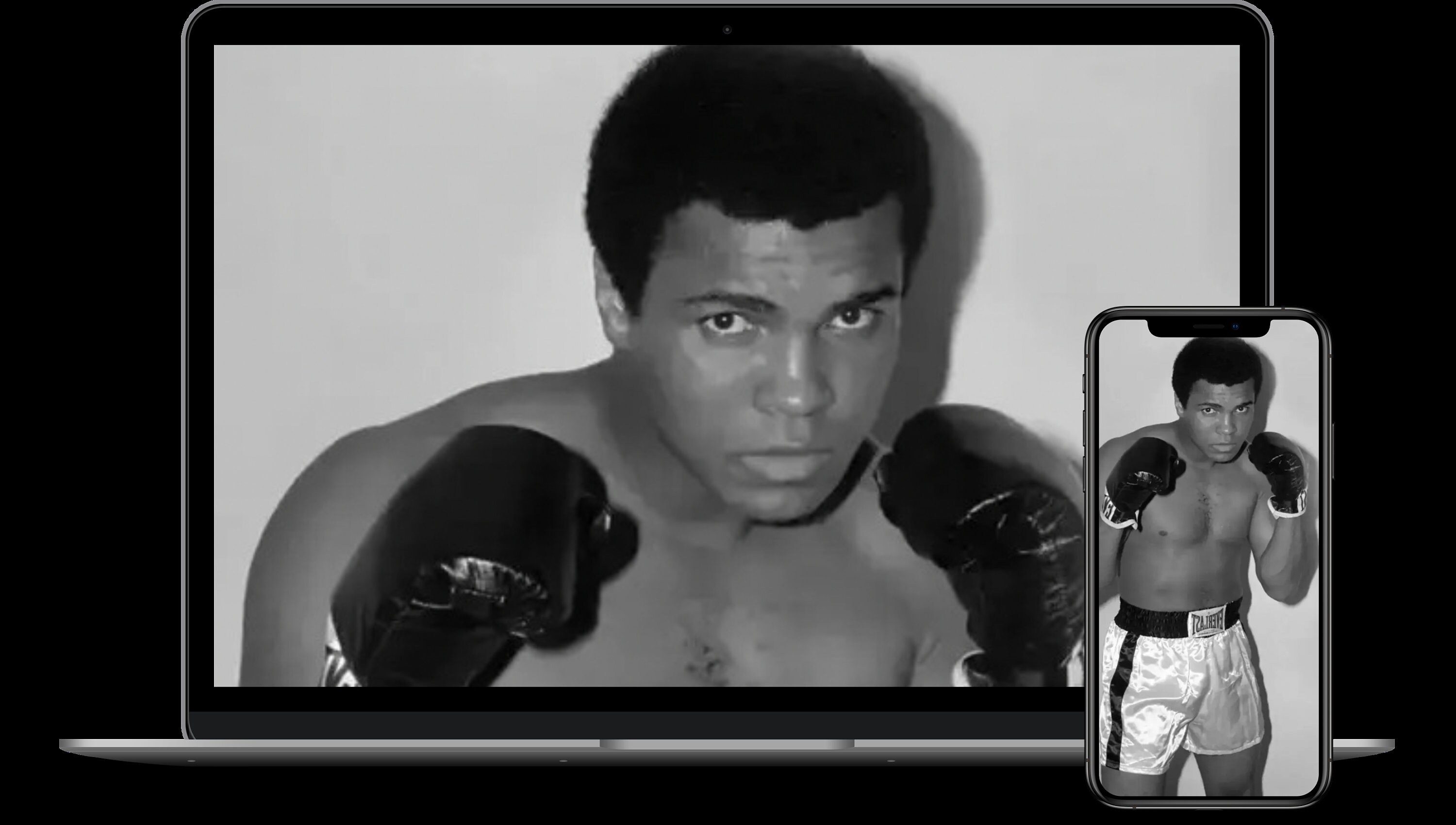 Muhammad Ali Printable Art Poster Wallpaper All Size Svg / Pdf / Png ...