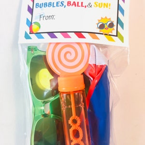 May include: A clear plastic bag filled with summer-themed toys, including sunglasses, a bubble wand, a beach ball, and a lollipop. The bag has a printed tag that says "Hope your SUMMER! Is splash with BUBBLES, BALL, & SUN! From:"