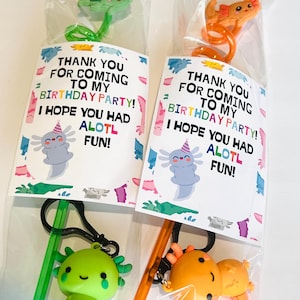 Axolotl Bday party Favors/ Kids birthday gift/Axolotl Straw & Keychain Gift Set – Cute Kids Party Favor | Axolotl Birthday Favor