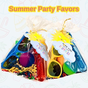 May include: Two clear plastic bags filled with summer party favors. Each bag contains a pair of sunglasses, a small squirt bottle, a bouncy ball, and colorful shredded paper. A tag with the text "Hope you have a great summer!" is attached to each bag.