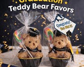 Graduation Teddy Bear Party Favors | Congrats You Did It Gift | Graduation Goodie Bags | Class of 2026 Party Favors | Personalized Favors