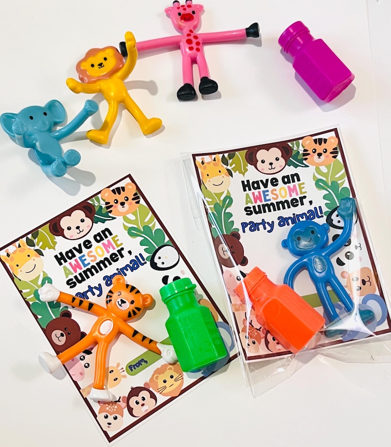 End of Year Class Gift, End of School Party Favors for Students ...