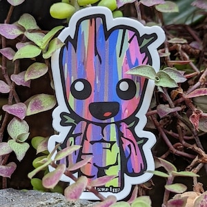 Rainbow Eucalyptus Groot