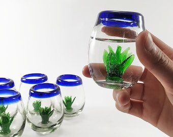 Set of Tequileros with agave of blown glass