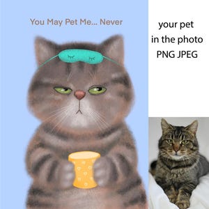 Custom Funny Pet Portrait Sleepy Cartoon Style Cat or Dog Personalized Digital PNG JPEG your pet in the photo
