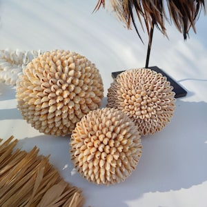 Könnte beinhalten: Drei dekorative Kugeln aus kleinen weißen Muscheln. Die Kugeln sind auf einer weißen Oberfläche angeordnet.