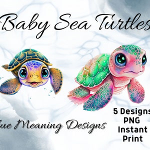 PNG Designs, PNG-Bundle, Baby Meeresschildkröten digitaler Download, Meeresschildkröten Aquarell PNG, Robben-Leben Designs, Meeresschildkröte Kunst