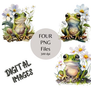 Schattige kikker png, vier png-ontwerpen, kikker en bloemen illustraties, schattige illustraties, natuur png, digitale download, aquarel kikker illustratie