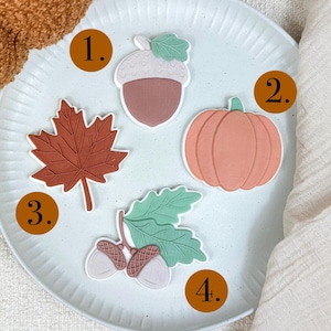 Peut inclure: Une collection d'éléments décoratifs sur le thème de l'automne, comprenant un gland, une citrouille, une feuille d'érable et un groupe de glands avec des feuilles. Les articles sont dans des tons de marron, d'orange et de vert, disposés sur une assiette blanche.