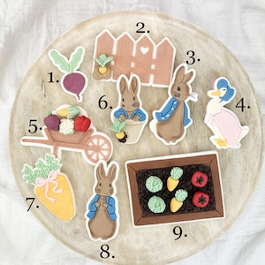 Peter Rabbit Cookie Stamp & Cutter Set – Spring Garden Birthday | Baby Shower, Easter Cookies