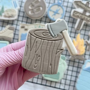 May include: A selection of camping-themed biscuits, featuring a tree stump with an axe, a compass, a campfire, a sleeping bag, and a hiking boot. The biscuits are decorated with various colours and details, such as a jar with a camping scene.