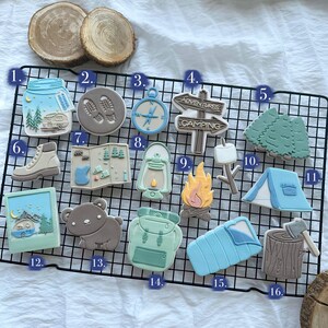 May include: A set of 16 camping-themed sugar cookies decorated with various designs, including a campfire, a tent, a lantern, a sleeping bag, a bear, a compass, a map, a jar with a camper van, footprints, a sign that says "Adventures Camping", and a log with an axe.