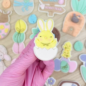 Küken Im Ei Pop Up Easter Fondant Embosser Cookie Stamp Cookie Cutter