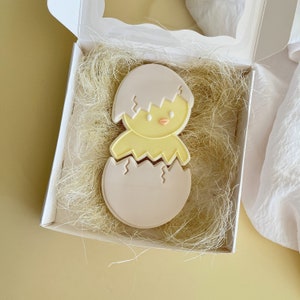 Boîte à biscuits - 15 x 15 x 3 cm