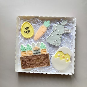 May include: A box of Easter biscuits. The biscuits include a yellow egg with "HIP HOP" text, a carrot, a grey bunny, a chick hatching from an egg, and a bunny in a carrot patch. The biscuits are decorated with pastel colours and placed on white paper shred.