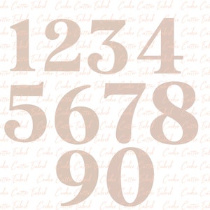 Numbers Cookie Cutter Birthday