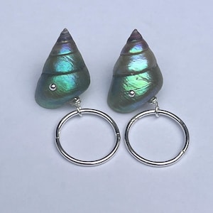 May include: A pair of iridescent green shell earrings with silver hoop attachments. The shells have a pearlescent sheen with hints of blue and purple. The earrings are designed to dangle from the hoops.