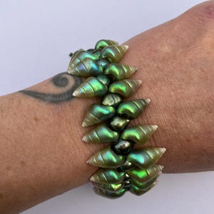 Puede incluir: Una pulsera con cuentas de concha verde iridiscente y cuentas de perlas verde oscuro. Las cuentas de concha tienen forma de espiral y están conectadas por una cuerda. La pulsera es una pieza de joyería única.