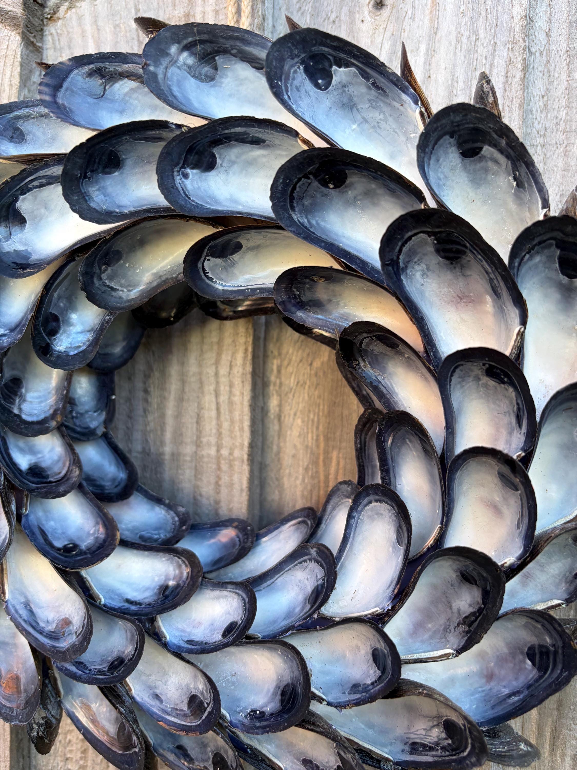 Muscle Shell Wreath Mussel Shell Wreath - Small (round) Indoor/outdoor - Etsy