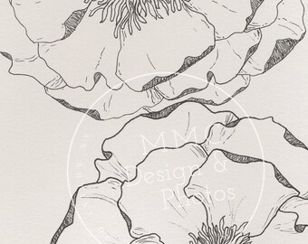 Digital Hand-drawn Peonies