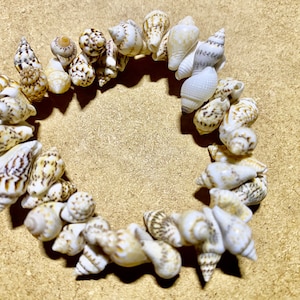 Shell Stretch Bracelet