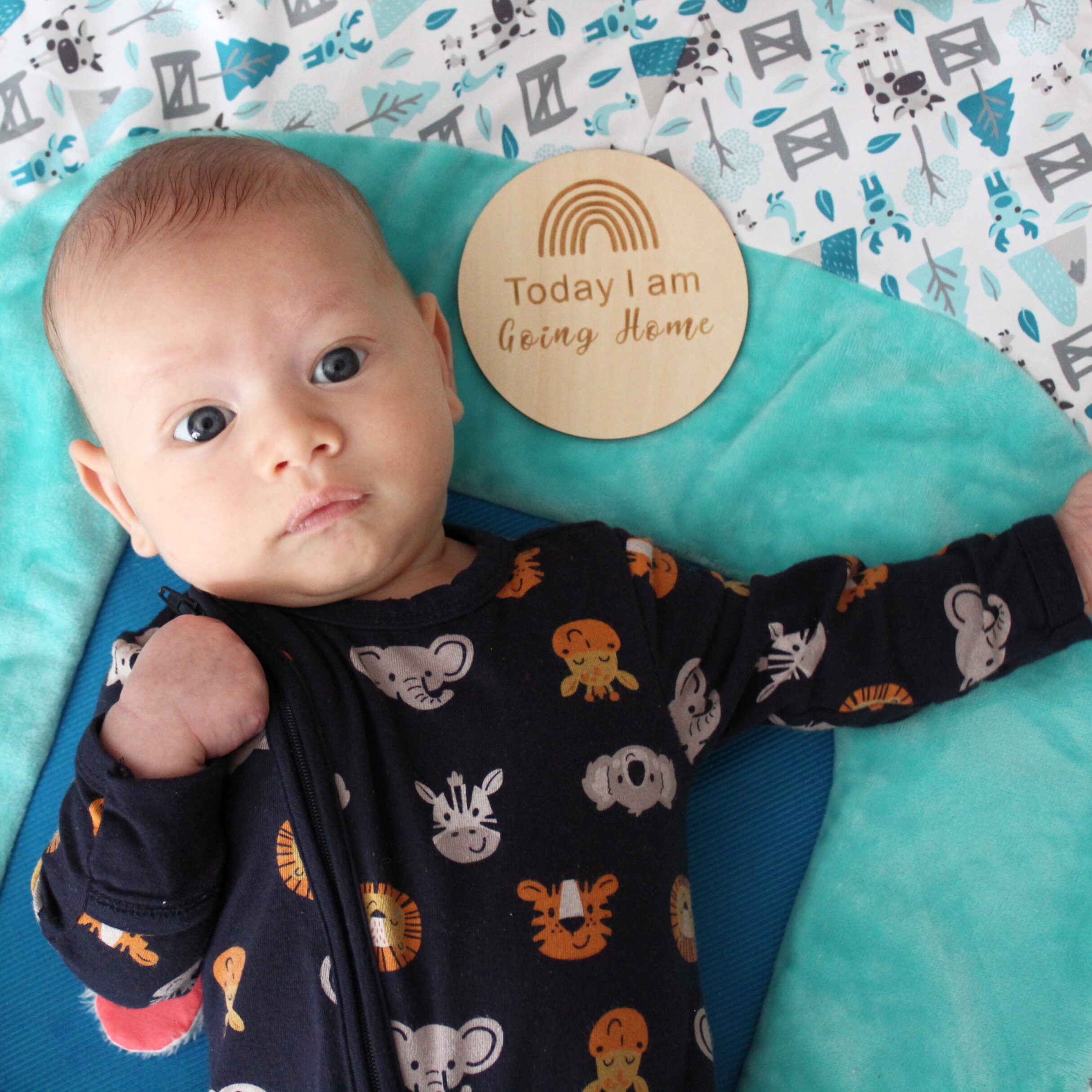 NICU Baby Gift NICU Milestone Cards Preemie Milestone Cards Preemie