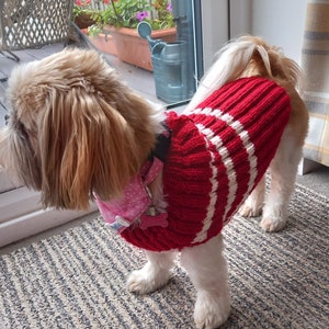 Pull pour chien en laine Aran image 5