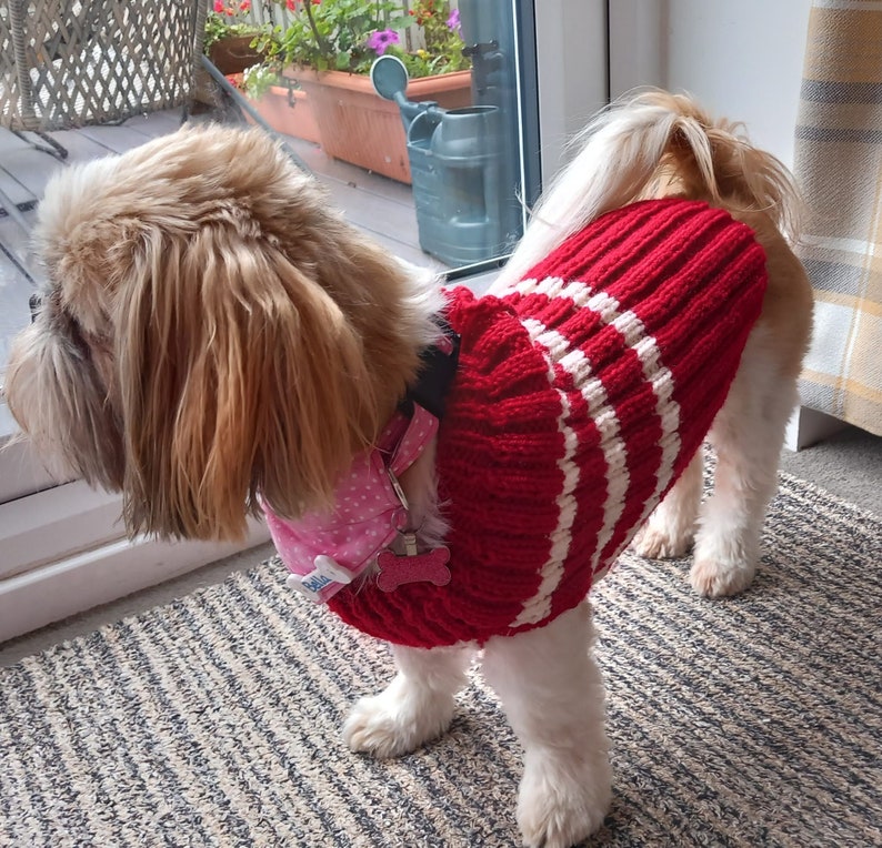 Pull pour chien en laine Aran image 5