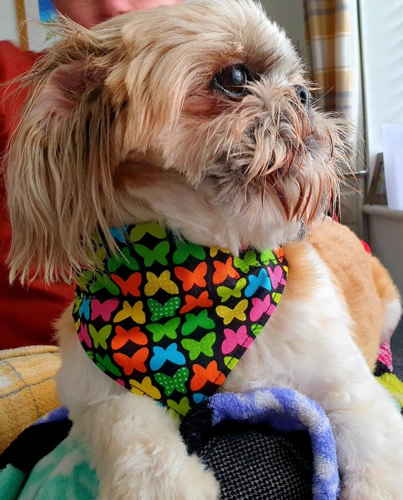 Etsy cheap dog bandana