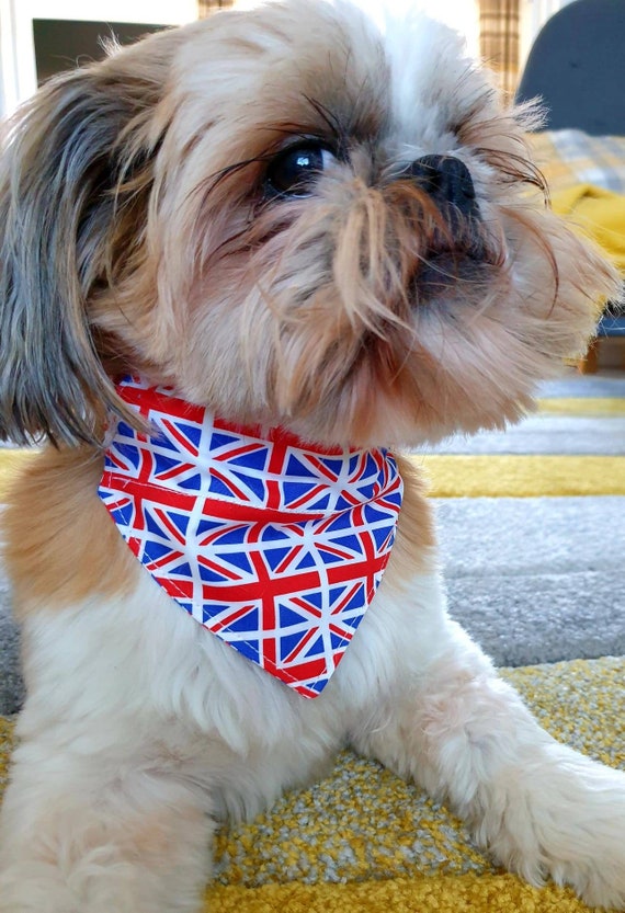 Dog Bandana. Union Flag Design. 2 Sizes. Etsy